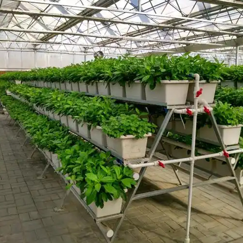 无锡市植物工厂智能温室 - 一站式服务